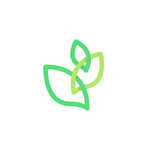 청년취업사관학교